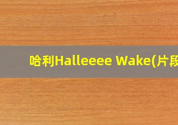 哈利Halleeee Wake(片段)